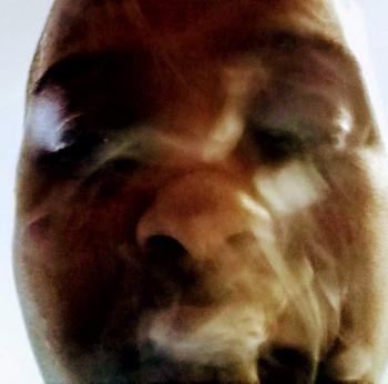 7579869602, female escort, Chesapeake